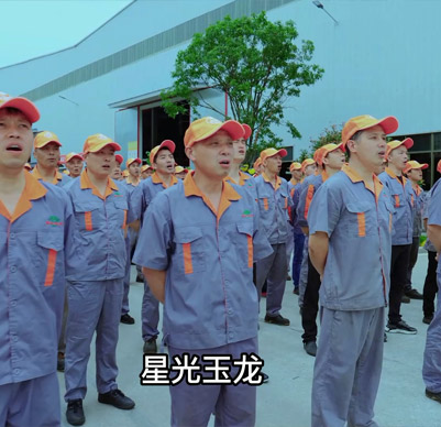 公司團(tuán)隊